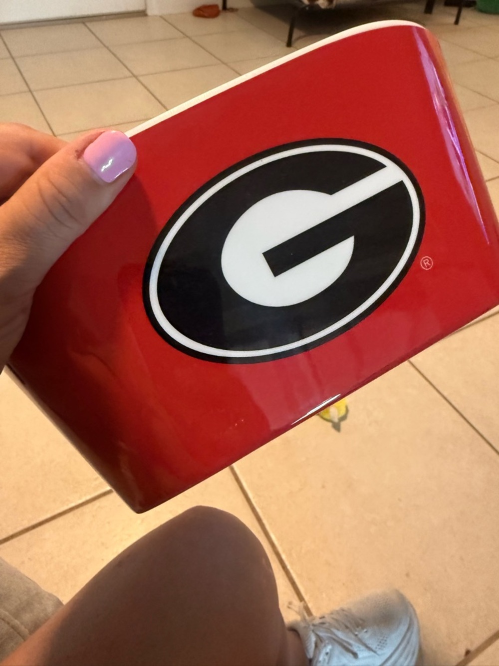 University of Georgia Red Game Day Chip Bowl